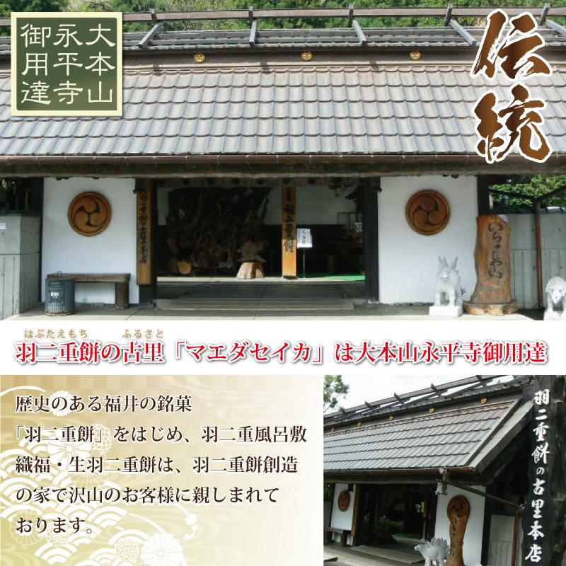 母の日 羽二重風呂敷 4種セット 羽二重餅 赤袋入り 北陸 福井 銘菓 餅 和菓子 スイーツ お菓子 ギフト 贈り物 お土産 お供え 内祝い お返し｜smileshoutengai｜10