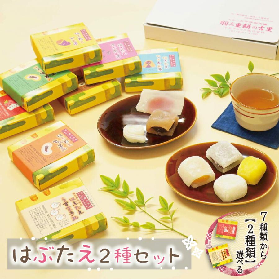 羽二重餅の古里 羽二重餅 はぶたえ 選べる 2個セット 小箱 食べきり 