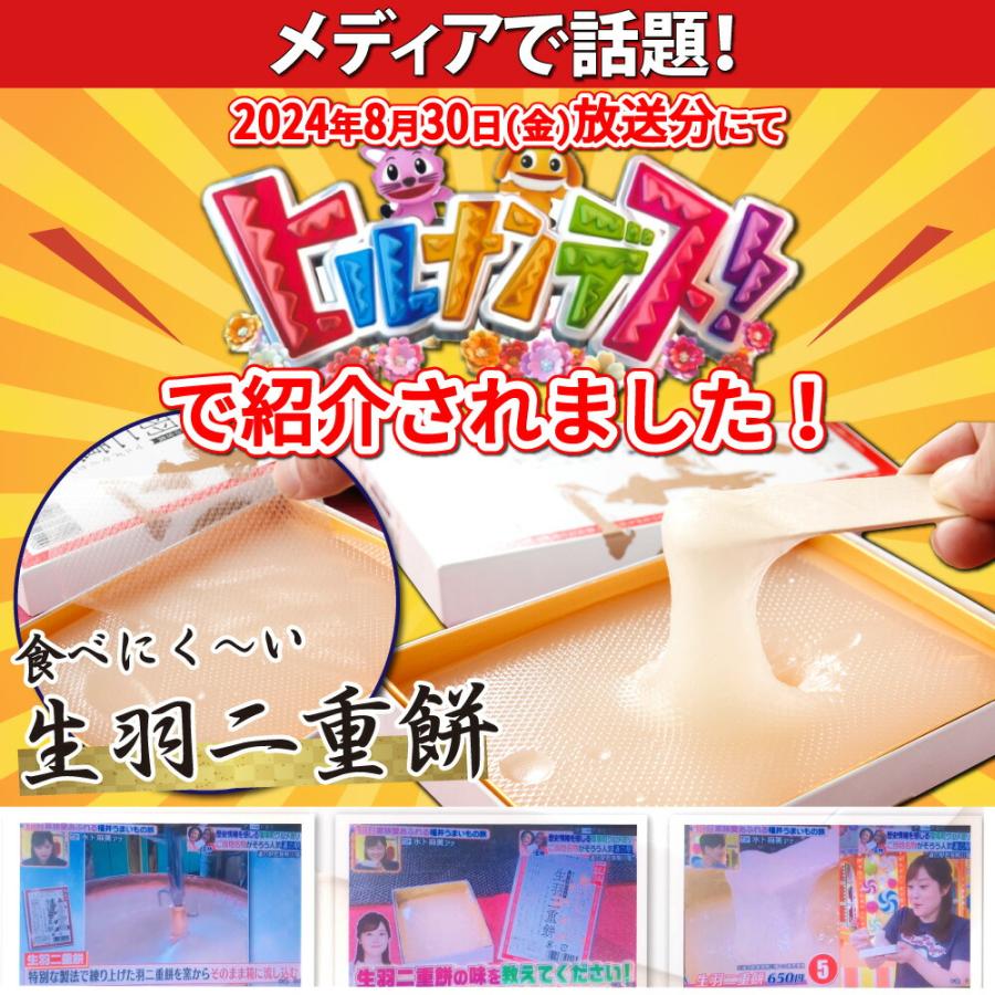 生羽二重餅 ノーマル ミニ 160g 羽二重餅 ヒルナンデスで紹介！ 1000円ポッキリ 餅 和菓子 スイーツ お菓子 福井銘菓 ギフト お土産 内祝い | 羽二重餅の古里 | 07