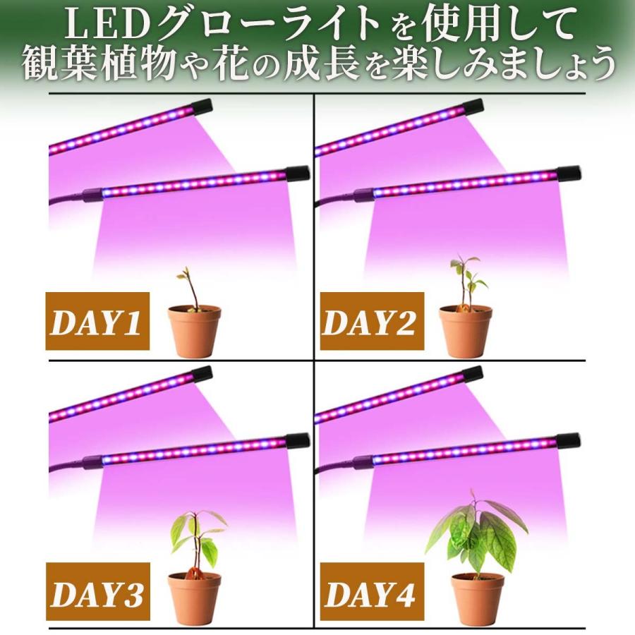 日照不足解消！【 3色の光でぐんぐん育つ 】LED 植物育成ライト