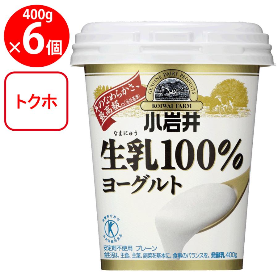小岩井 [冷蔵]小岩井乳業 生乳100%ヨーグルト 400g×6個 : Smile Spoon