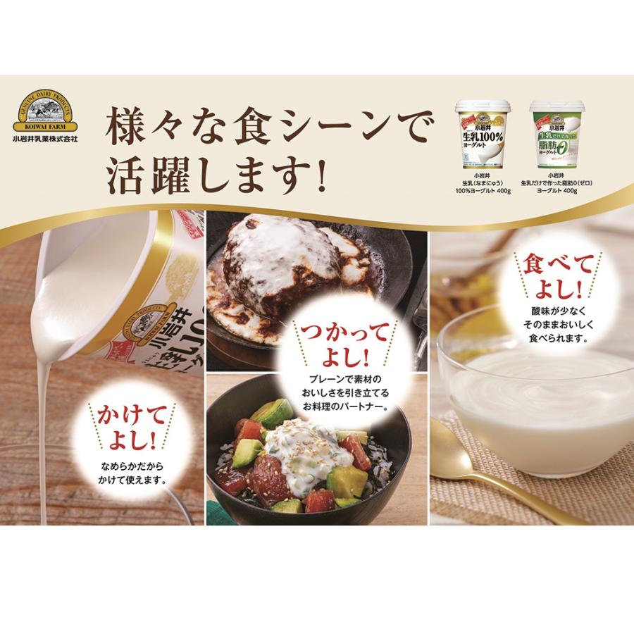 小岩井 [冷蔵]小岩井乳業 生乳100%ヨーグルト 400g×6個 : Smile Spoon