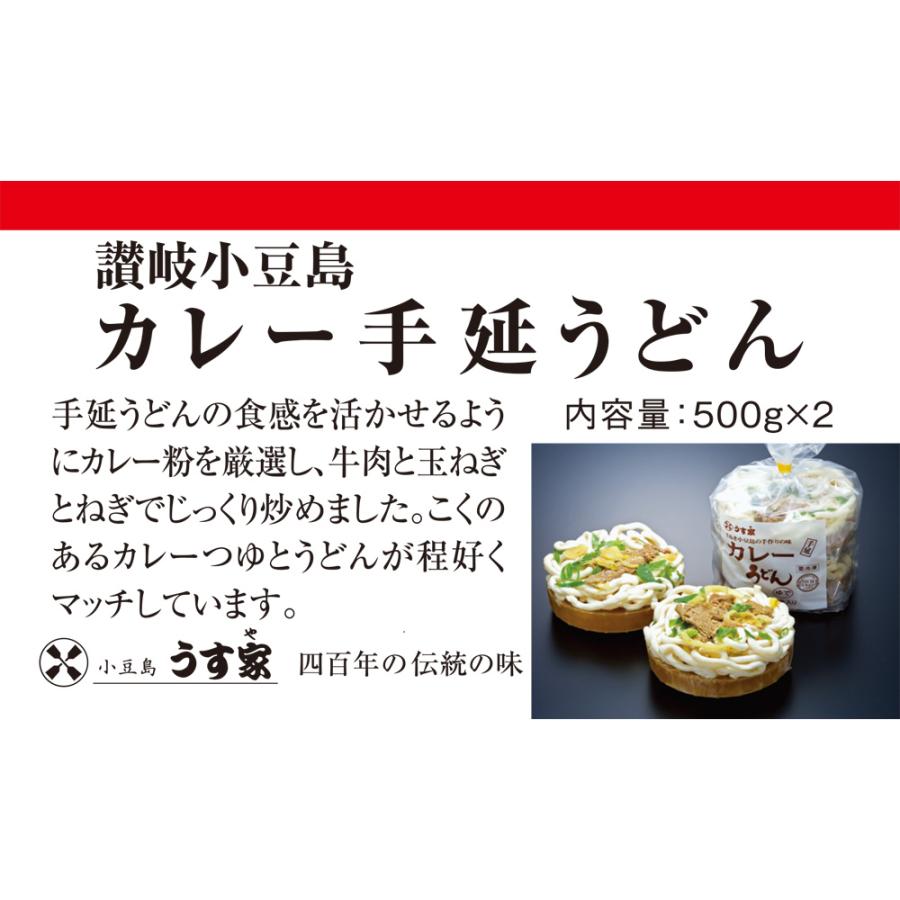 冷凍食品 うどん 冷凍 うどん うす家 カレー手延べうどん 500g×2×10個 手延べうどん 讃岐小豆島 冷凍うどん｜smilespoon｜04