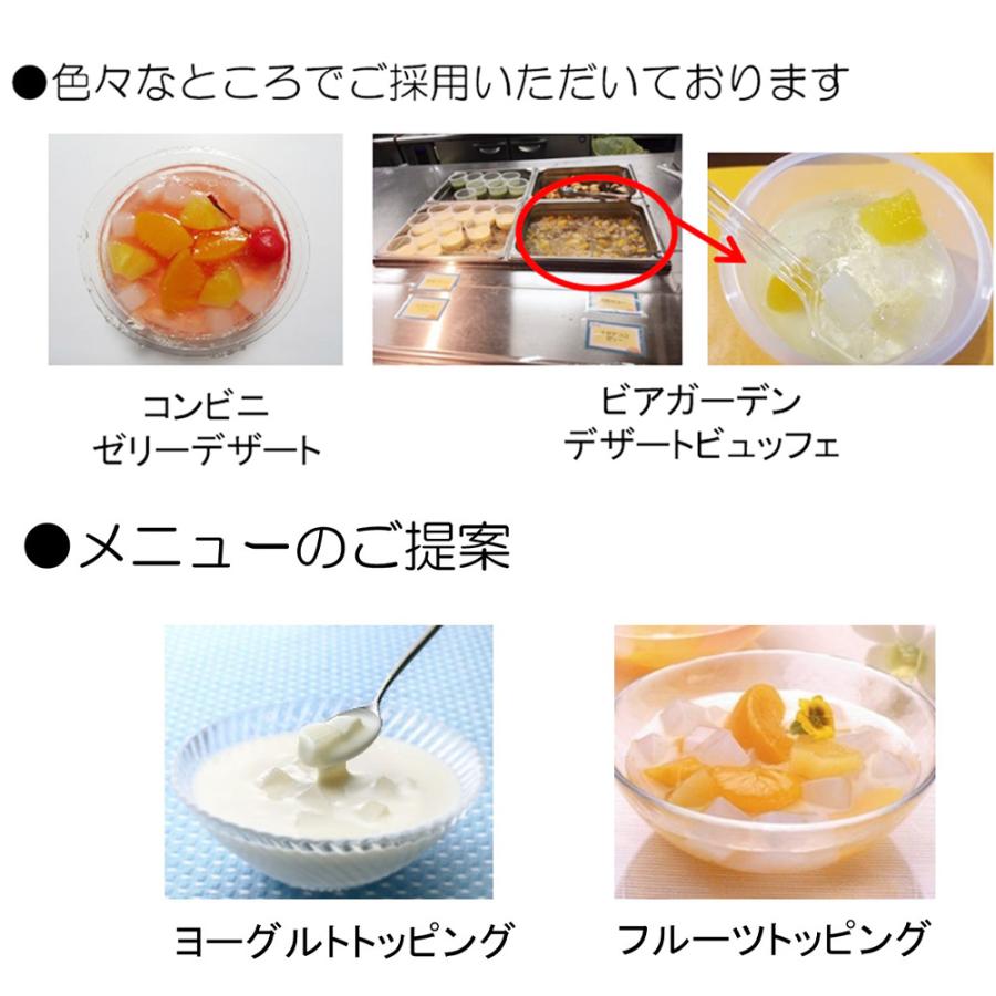 フジッコ 業務用 国内産 ナタデココ 500g×10袋 |  デザート トッピング ヨーグルト用 パフェ ドリンク スイーツ 製菓材料 食物繊維 まとめ買い フジッコ 業務用 国内産ナタデココ 500g×10個 : Smile Spoon - 通販