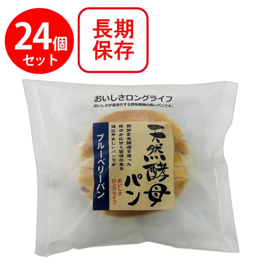 土筆屋 天然酵母ブルーベリーパン×24個 : Smile Spoon - 通販 - Yahoo