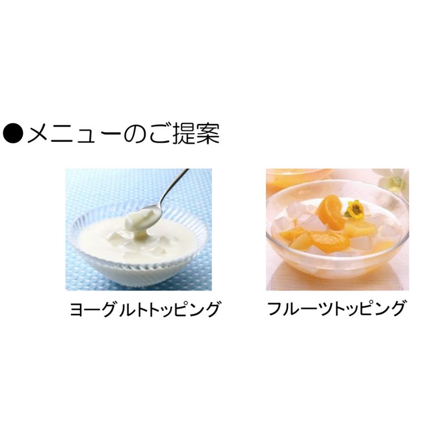 フジッコ 業務用 国内産ナタデココ 500g 2個 ナタデココ 大容量ナタデココ 全品送料無料 業務用ナタデココ フジッ