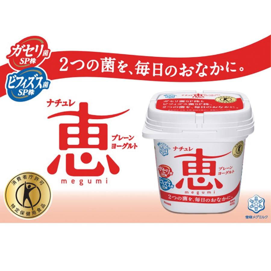 雪印メグミルク [冷蔵]雪印メグミルク ナチュレ恵 megumi 400g×8個
