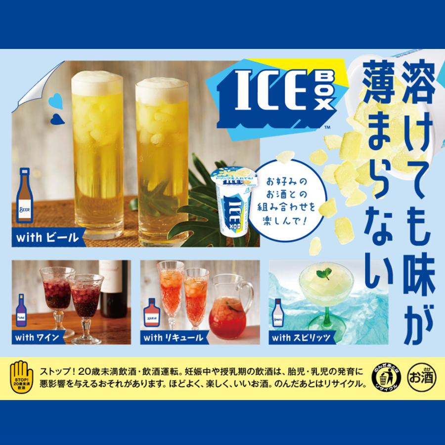森永製菓 [アイス] アイスボックス＜グレープフルーツ＞ 135ml×10個