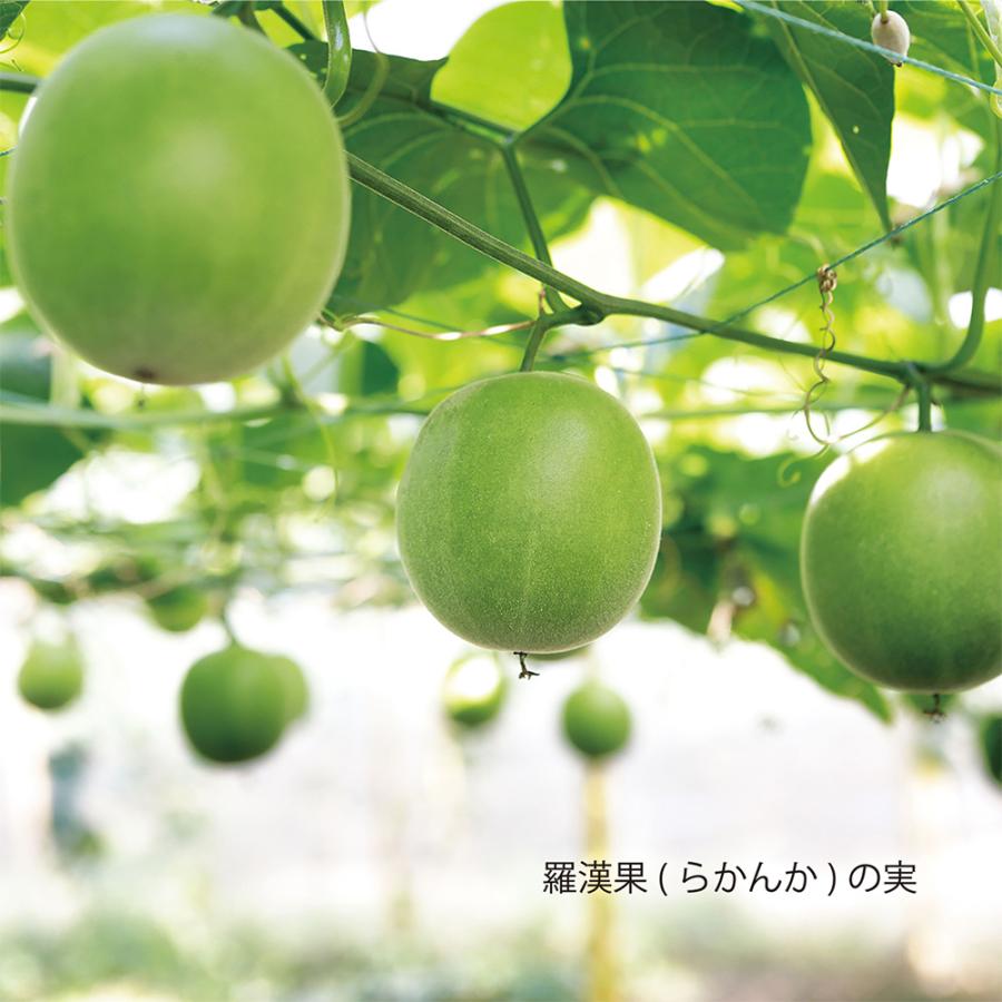 【訳あり20％OFF】 フォワード ラカントＳ顆粒 1kg×3個 【賞味期限2027年02月17日】の画像