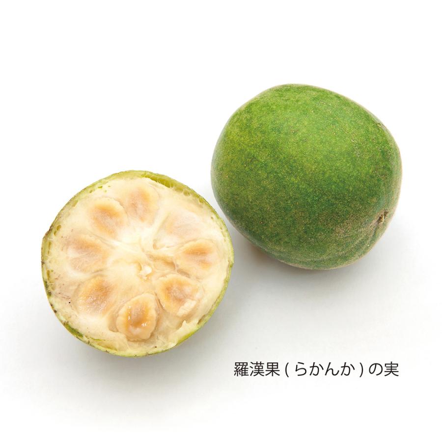 フォワード ラカント業務用液状甘味料 1L×12個の画像