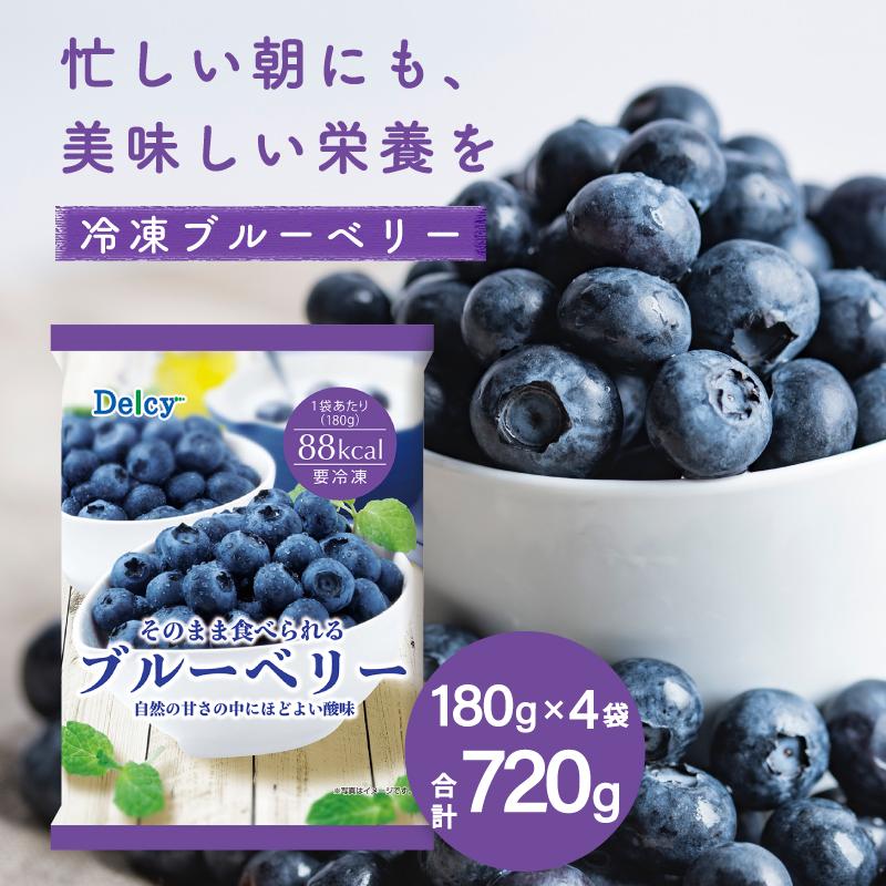 Delcy [冷凍食品] ブルーベリー 720g 180g×4個 : Smile Spoon - 通販