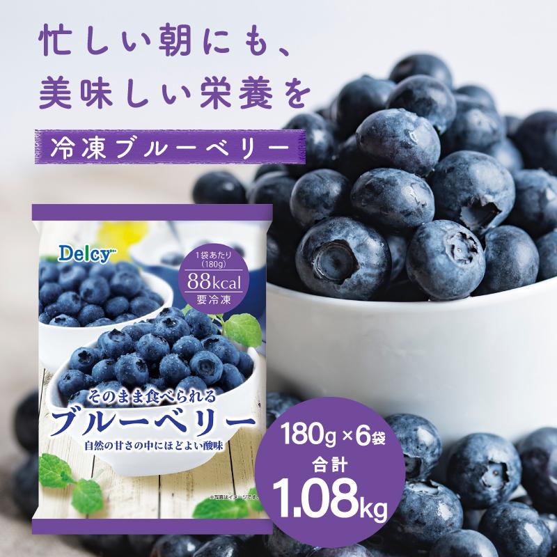 Delcy [冷凍食品] ブルーベリー 1.08KG 180g×6個 : Smile Spoon - 通販