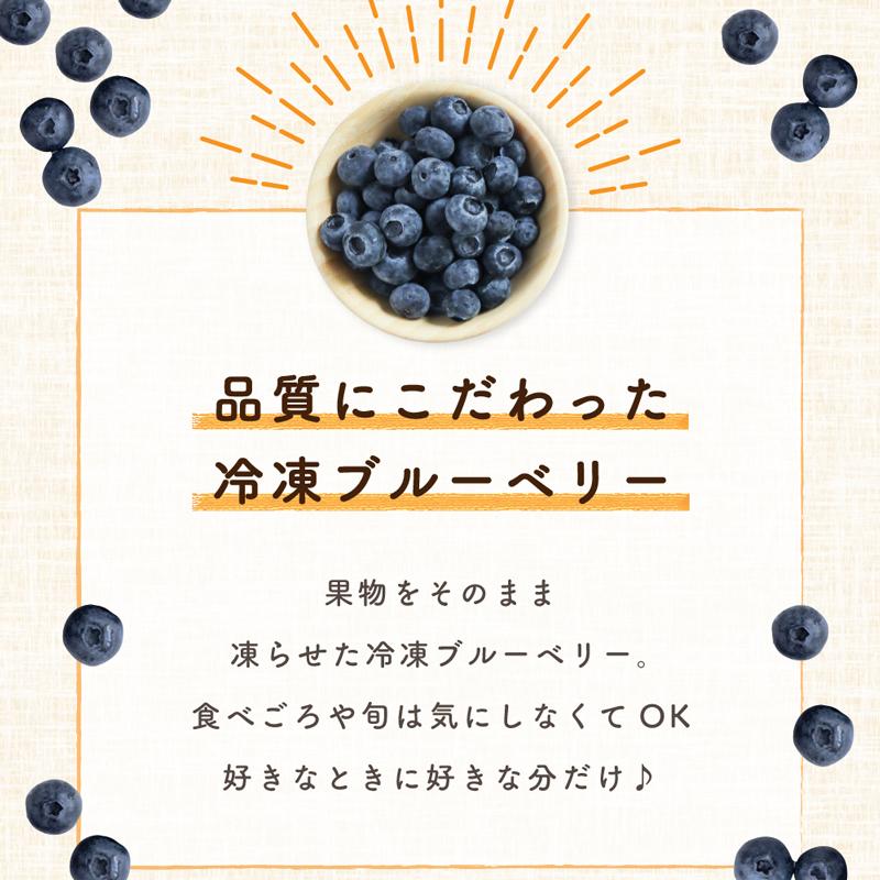 Delcy [冷凍] ブルーベリー 2.16kg (180g×12個) : Smile Spoon - 通販