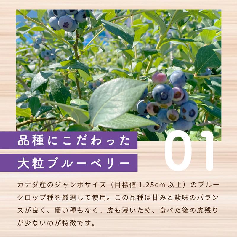 [冷凍]Delcy ブルーベリー 180g | Delcy | 11