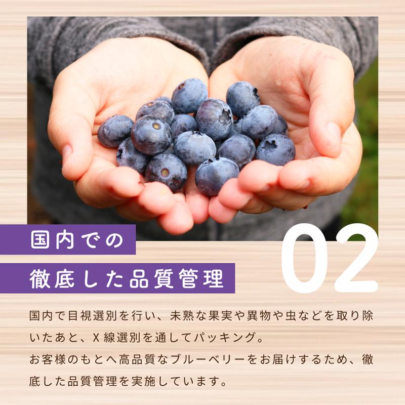 [冷凍]Delcy ブルーベリー 180g | Delcy | 12