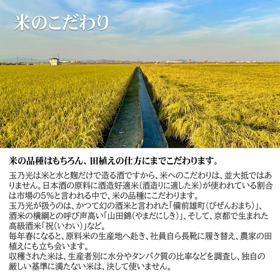[冷蔵] チル酒 玉乃光酒造 玉乃光 純米吟醸 なまざけ 日本酒 300ml×4本 | 光酒造 | 05