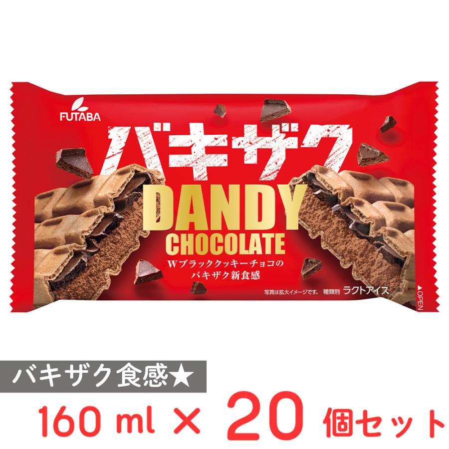 爆買 [アイス] フタバ ダンディーチョコレート 160ml×20個 : Smile