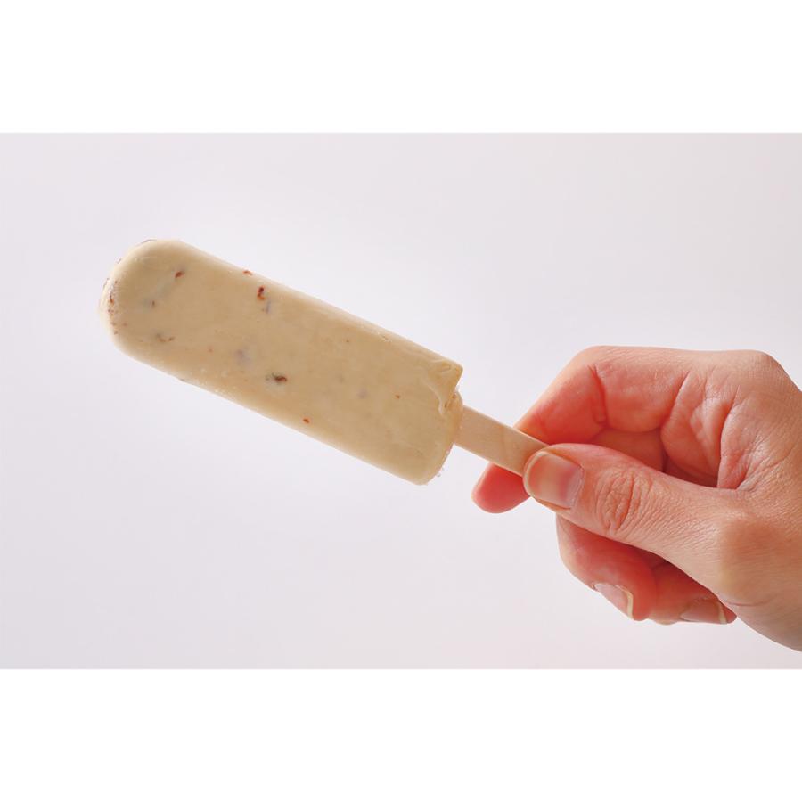 冷凍 アイスクリーム メイトー パティレ誘惑のラムレーズン 240ml×8個 アイス スイーツ デザート おやつ ランキング｜smilespoon｜03