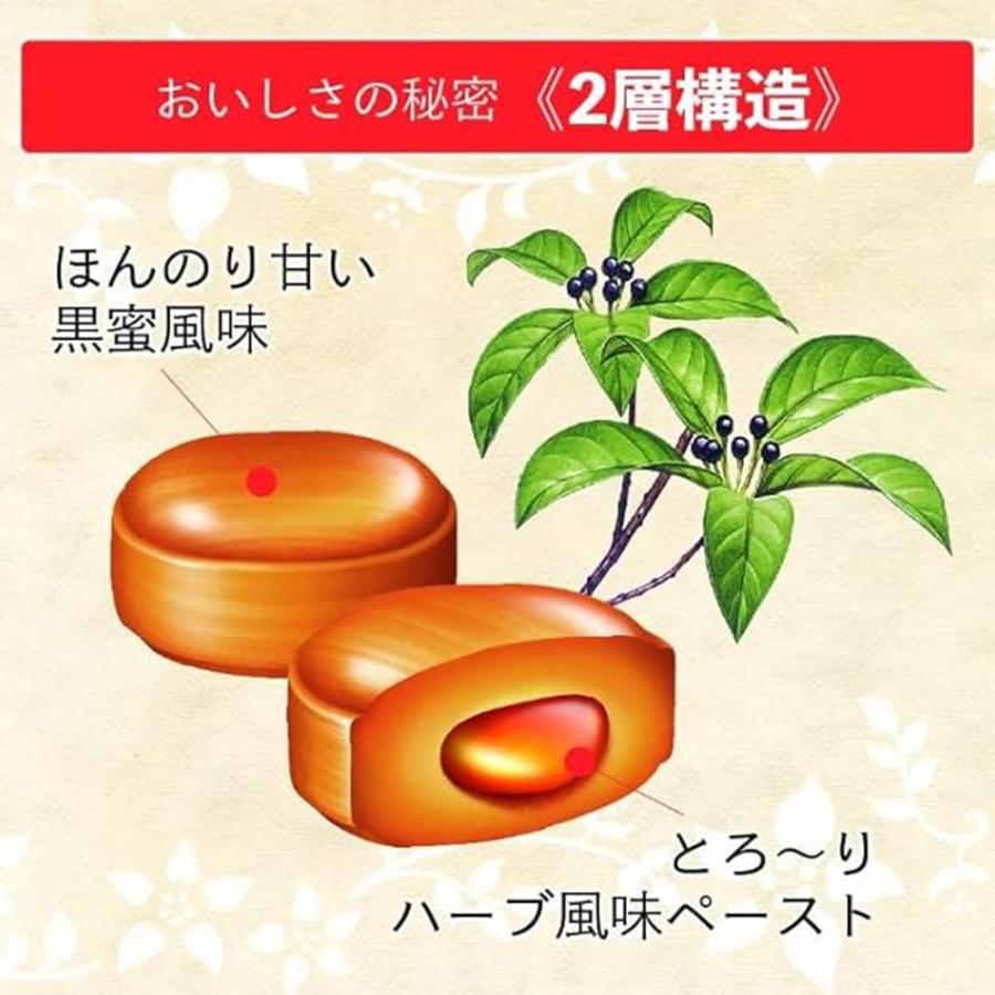 養命酒製造クロモジのど飴 64g×48袋_4