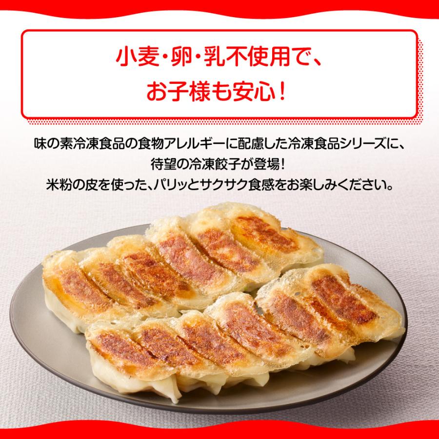 冷凍食品 餃子 味の素冷凍食品 米粉でつくったギョーザ 12個 冷凍惣菜 惣菜 ギョーザ ぎょうざ 中華 点心 おかず お弁当 おつまみ 軽食 冷凍 冷食 時短 手軽 Smile Spoon 通販 Paypayモール