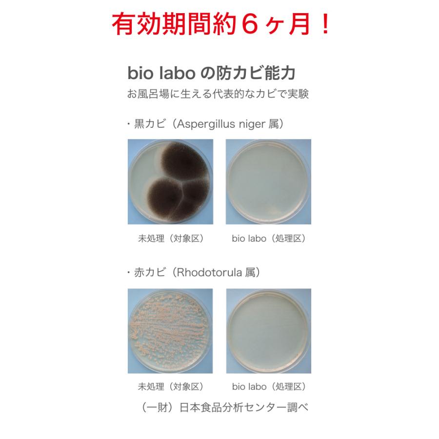 Wall Case Bath ウォールケースバス (ホワイト)×6個 日用品｜smilespoon｜04