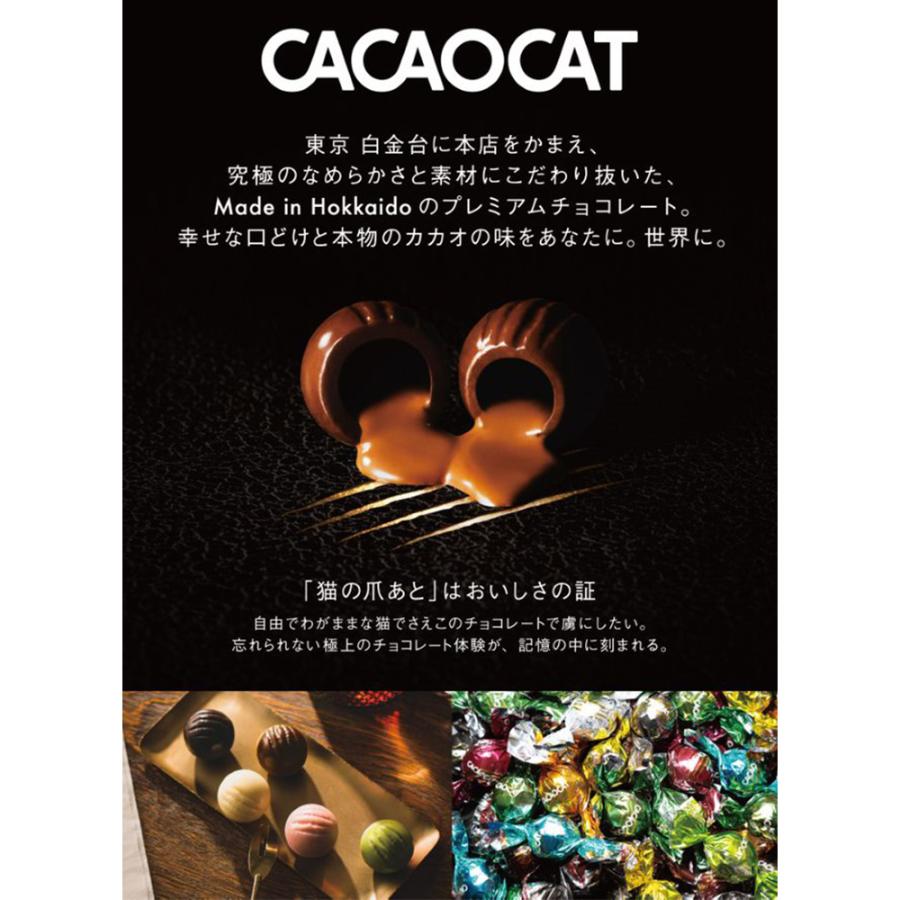 冷蔵] DADACA CACAOCATミックス限定 9個 : Smile Spoon - 通販