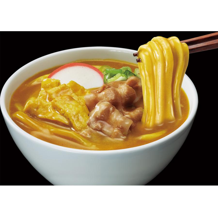 冷凍食品 日清食品 日清 若鯱家 カレーうどん 278g｜smilespoon｜05