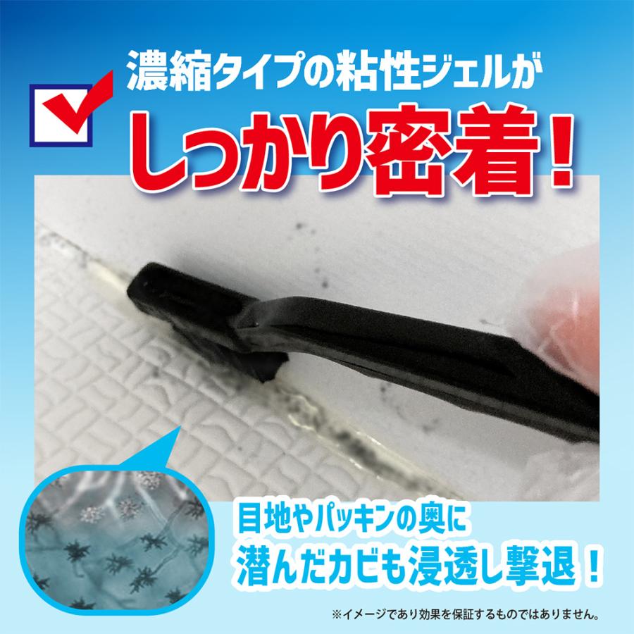 カビダッシュ　 特濃ストロングジェル×12個 ノンフード 日用品｜smilespoon｜08