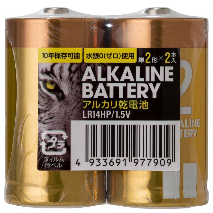 アルカリ乾電池レギュラー　単2　2P 日用品 ノンフード×2個｜smilespoon｜02