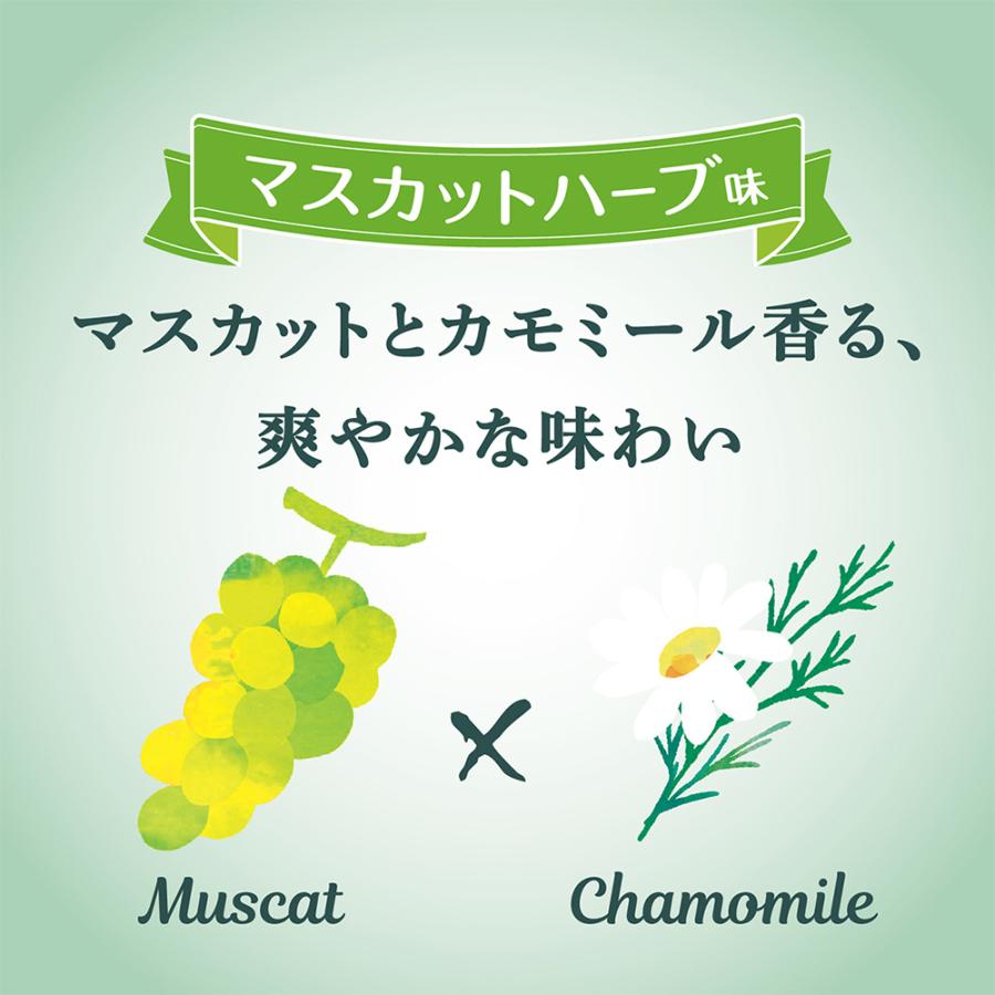 サラヤ ラカントハーブのど飴 マスカットハーブ味 30g×50袋_4