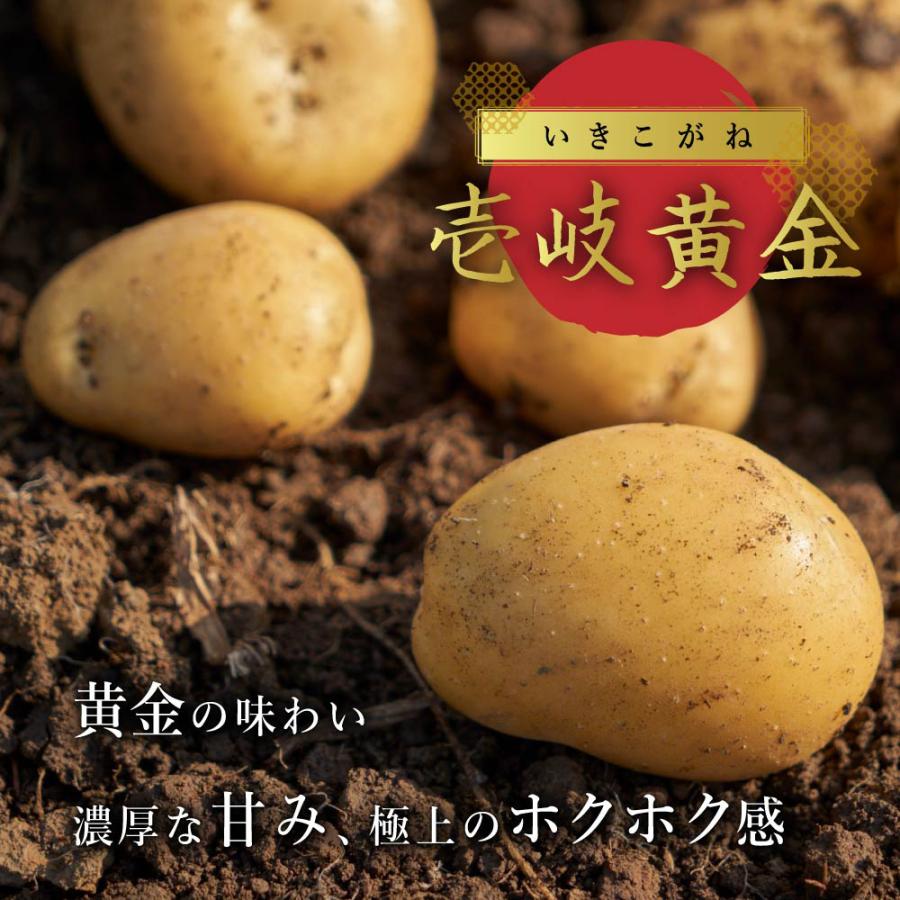壱岐 JA壱岐市 壱岐黄金 5kg 予約販売 2/12-18お届け じゃがいも