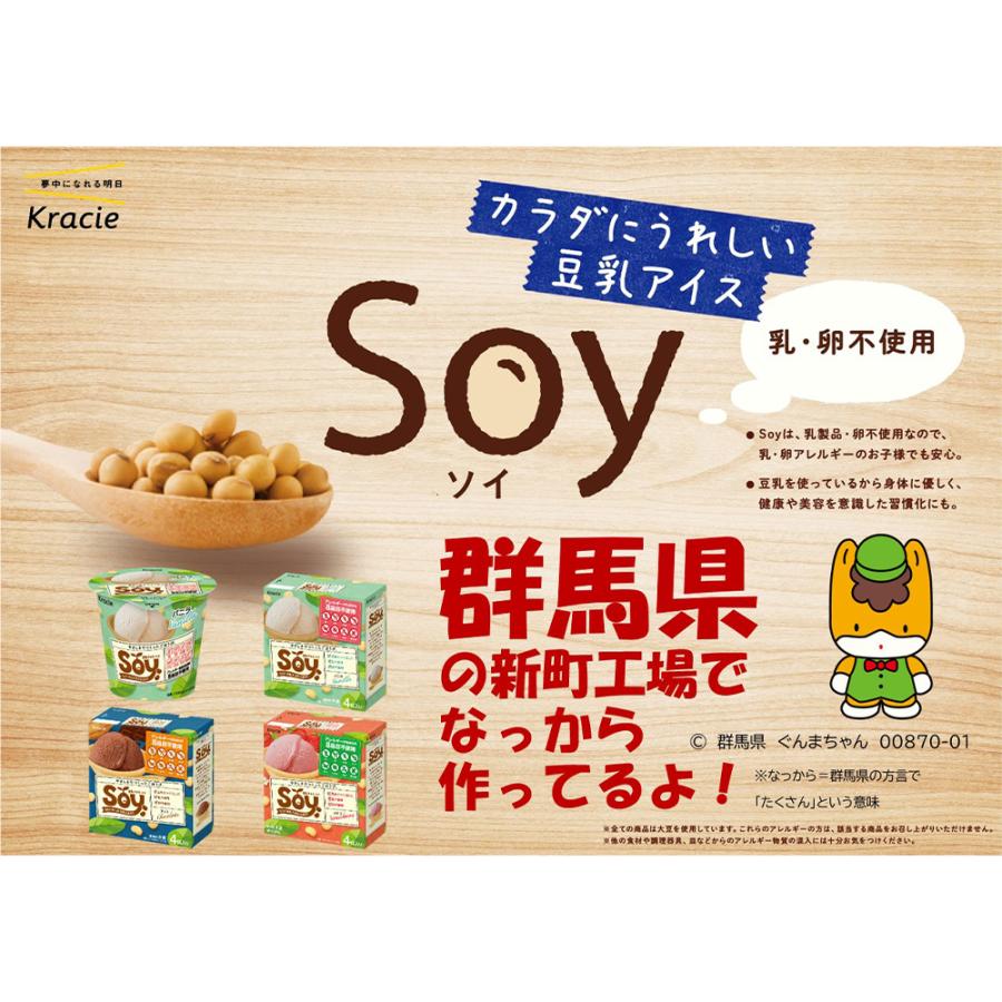 Kracie（クラシエ） [アイス] Soy バニラ 105ml×6個 : Smile Spoon