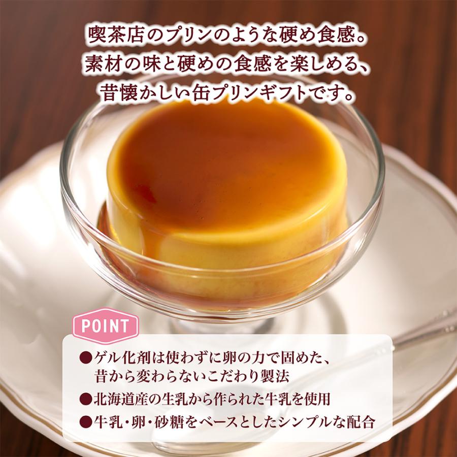 ☆いっちゃん☆様確認用　　　　　　　　　井村屋　チョコレートプリン 井村屋 袋入 チョコレートプリン 8個入（58g×8個）常温 保存食