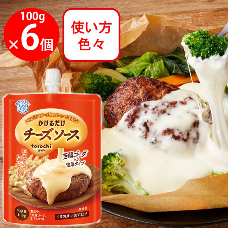 雪印メグミルク [冷蔵] torochi チーズソース 芳醇ゴーダ入り 100g×6個 : Smile Spoon - 通販 - Yahoo ...