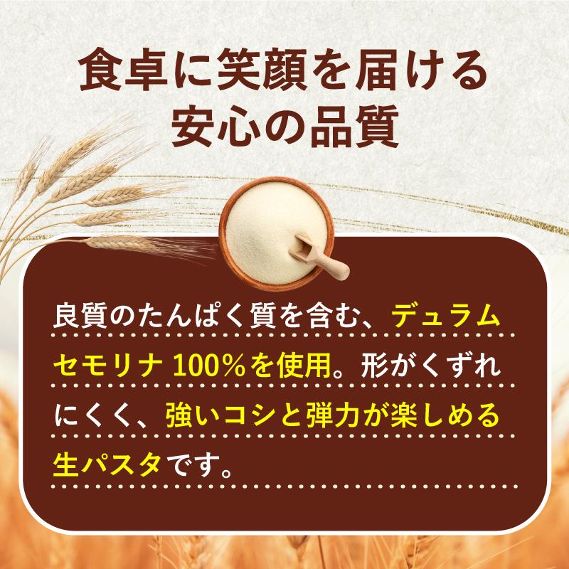 [冷凍] Delcy 生パスタ フィットチーネ 540g | Delcy | 09