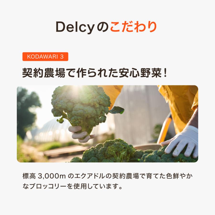 [冷凍] Delcy 高原で採れた ブロッコリー 230g×1袋 | Delcy | 10