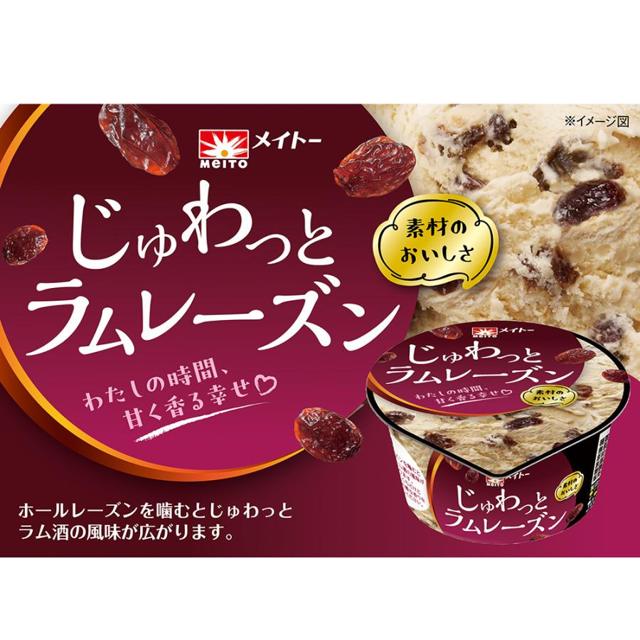 アイス] 協同乳業 じゅわっとラムレーズン 120ml×6個 : Smile Spoon