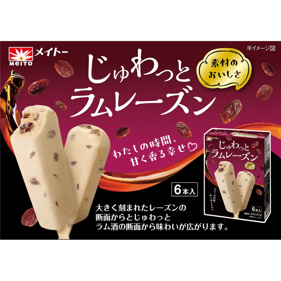 アイス] 協同乳業 じゅわっとラムレーズン 6本入×10箱 : Smile Spoon
