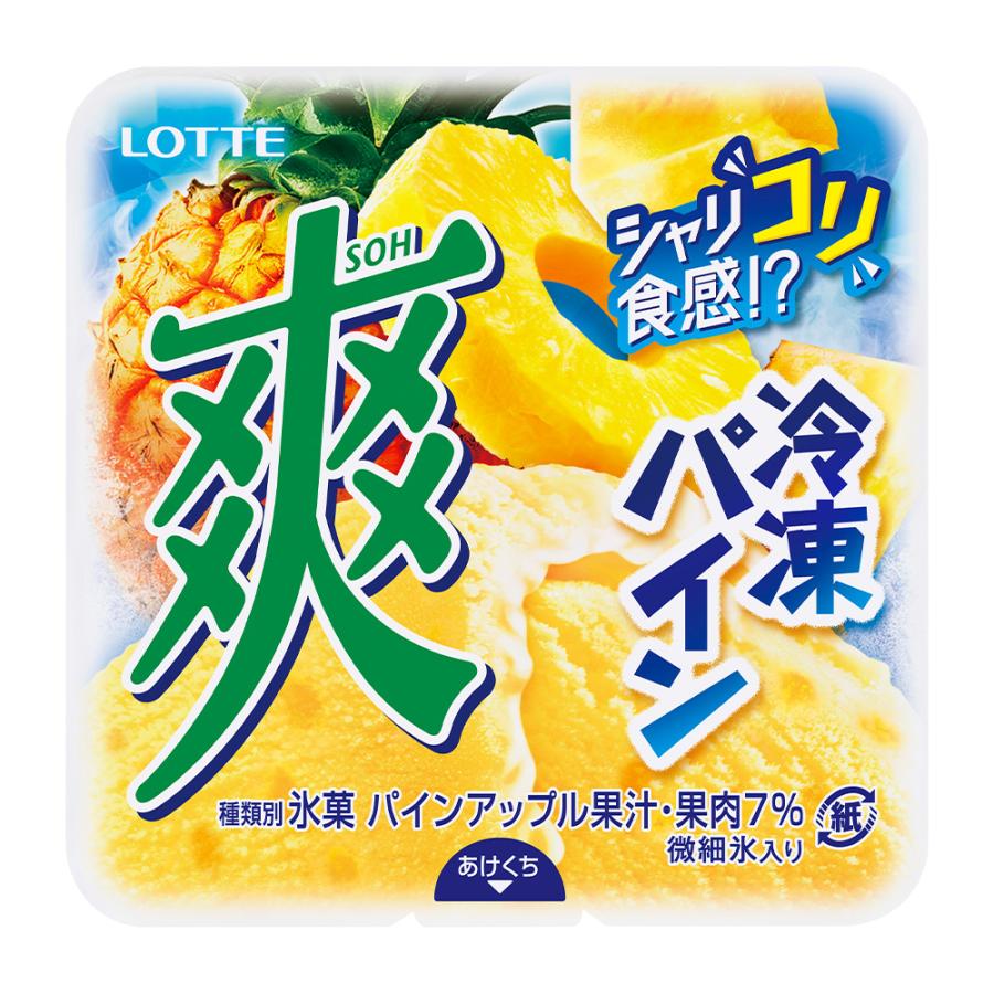 【高評価】ロッテ　爽　ミニ冷凍　小型　冷凍庫　アイスクリーム　キャンプ　非売品 ロッテ（LOTTE） [アイス] 爽 冷凍パイン 185ml×9個 : Smile Spoon