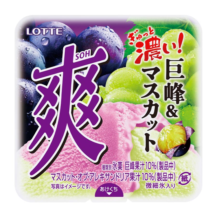 ロッテ（LOTTE） [アイス] 爽 巨峰＆マスカット 185ml×2個 : Smile