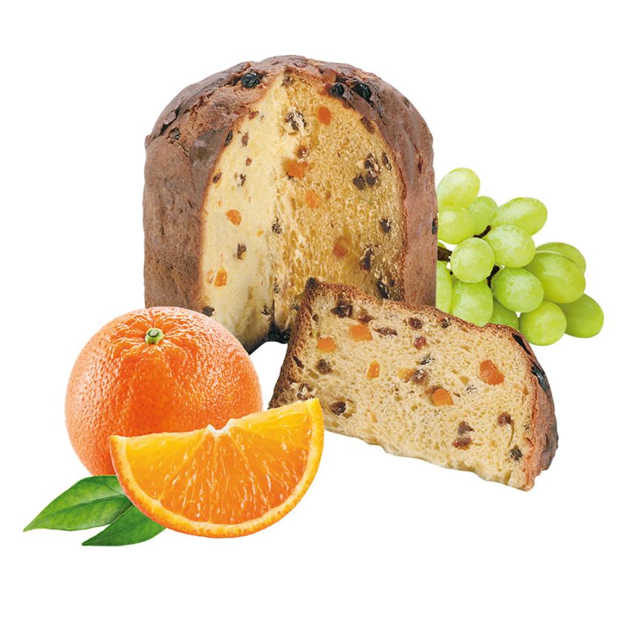 爆買 ノルレェイク・インターナショナル LOISON パネットンチーノ