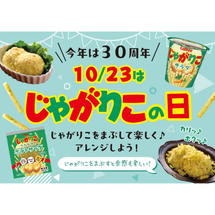 じゃがりこ [冷蔵] 日本アクセス じゃがりこサラダ味のポテトサラダ