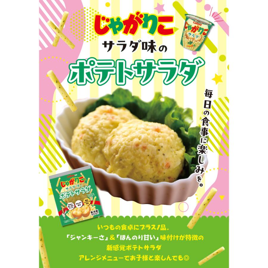 じゃがりこ [冷蔵] 日本アクセス じゃがりこサラダ味のポテトサラダ