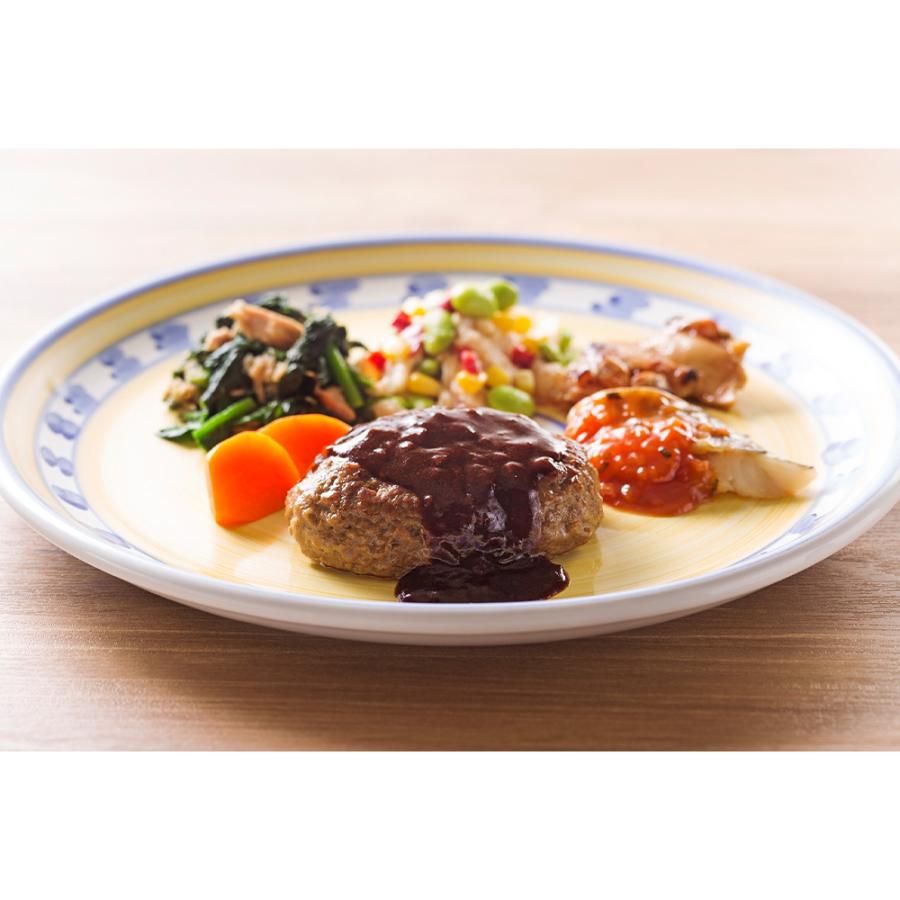 [冷凍] ニチレイフーズ 気くばり御膳PowerDeli グレイビーハンバーグ＆鱈のトマトソースプレート 265g×10個_3