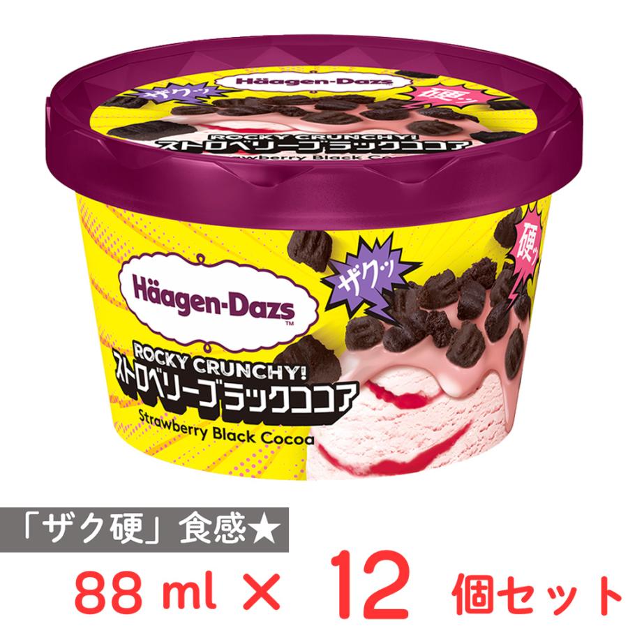 ハーゲンダッツ（Haagen-Dazs） [アイス] ミニカップ ROCKY CRUNCHY