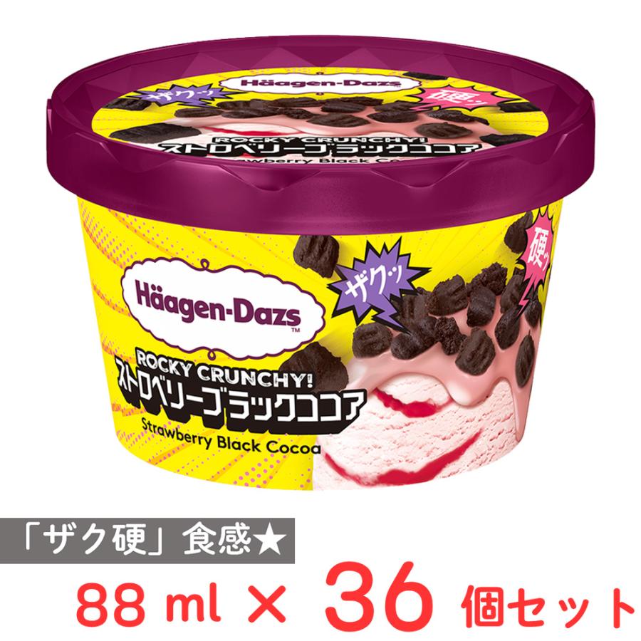 ハーゲンダッツ（Haagen-Dazs） 【30%OFF】 [アイス] ミニカップ ROCKY