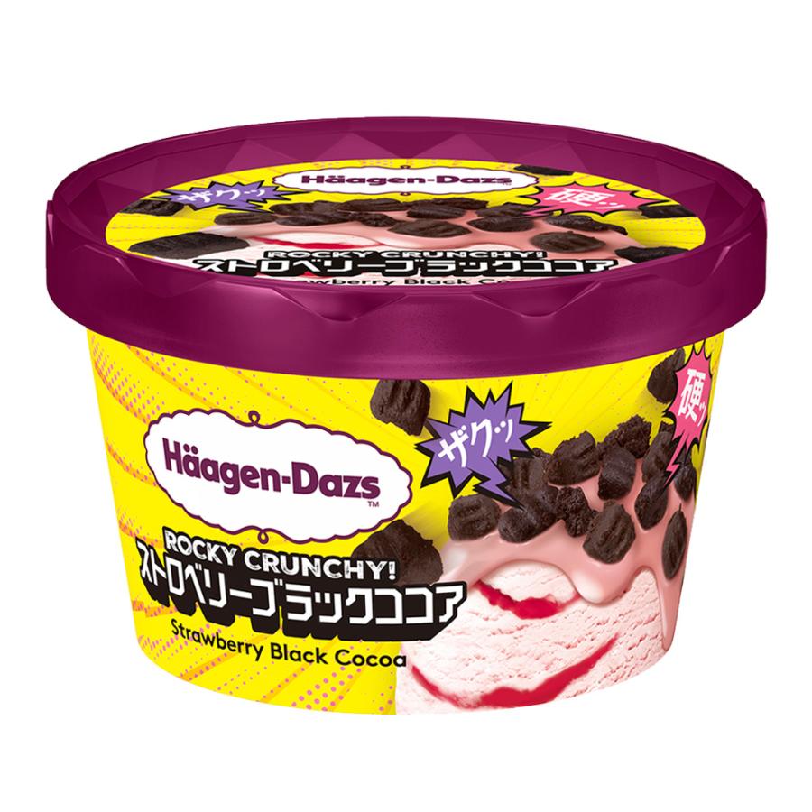 ハーゲンダッツ（Haagen-Dazs） 爆買 [アイス] ミニカップ ROCKY
