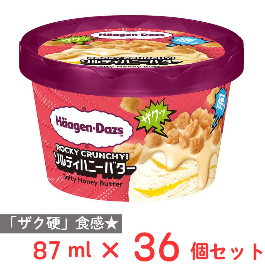 ハーゲンダッツ（Haagen-Dazs） [アイス] ミニカップ ROCKY CRUNCHY