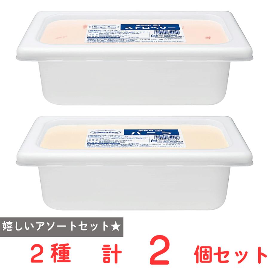 [アイス] ハーゲンダッツ業務用２L 2個セット【ストロベリー・バニラ】 | ハーゲンダッツ