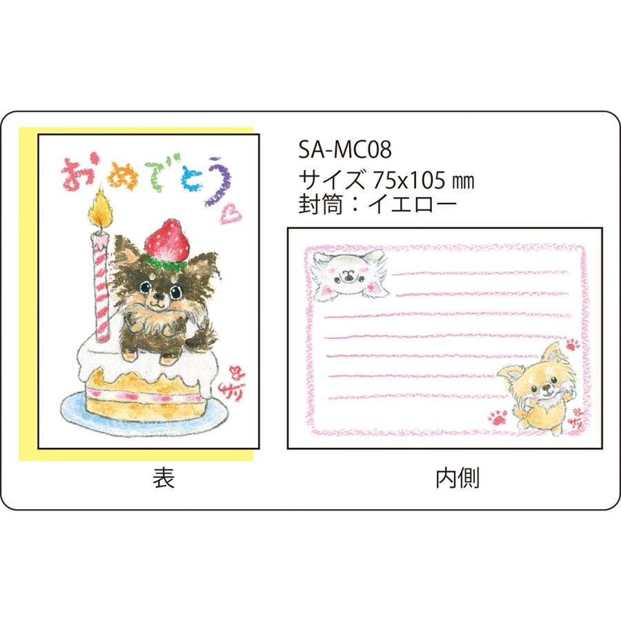 SA-MC08 サリー メッセージカード　【ネコポス可】｜smilestation